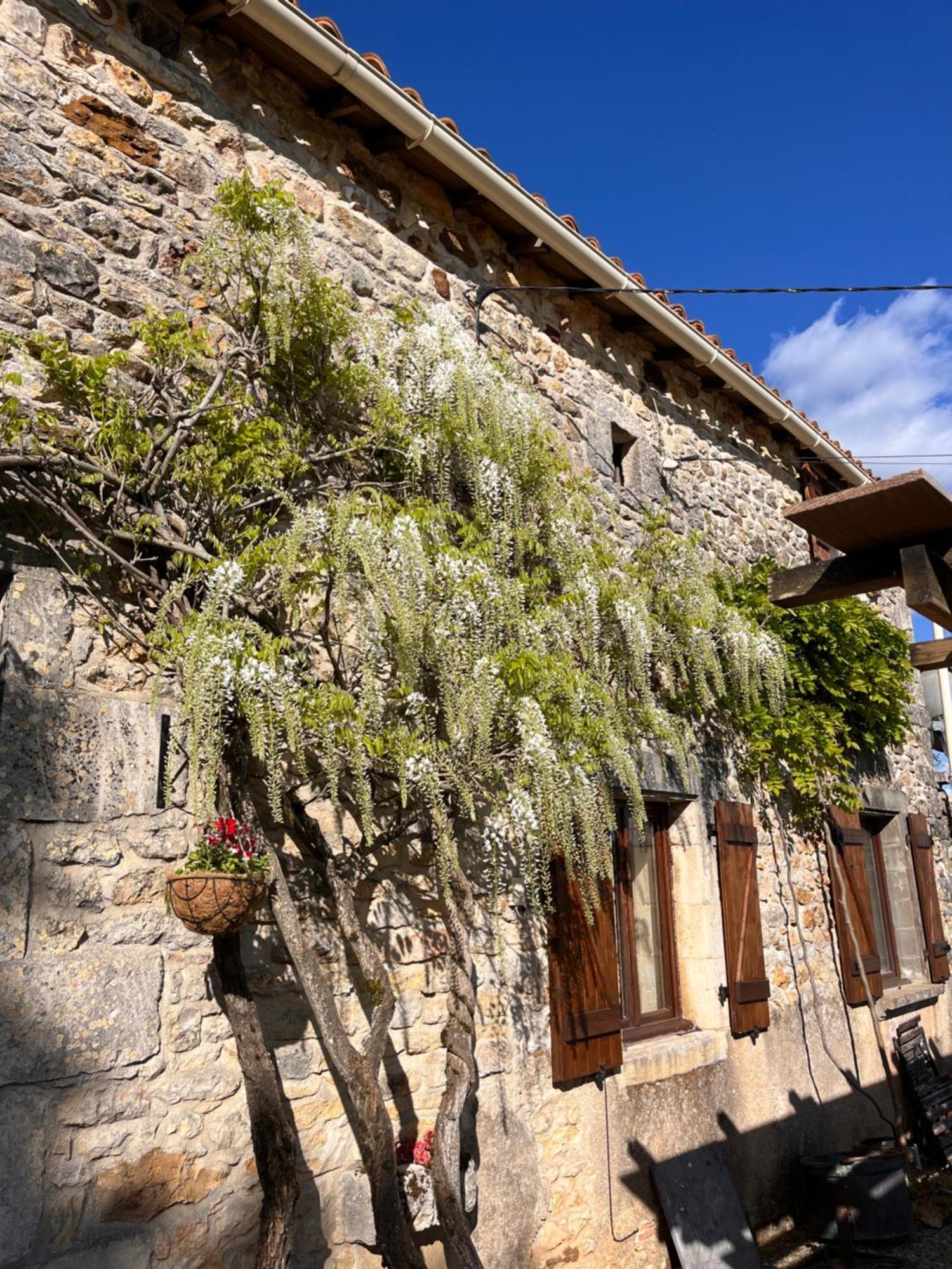 Le Plantier2 Villa Beaulieu-sur-Sonnette Buitenkant foto